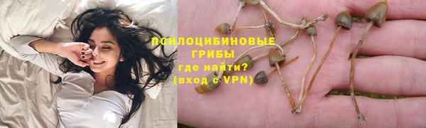 гидра Алексеевка