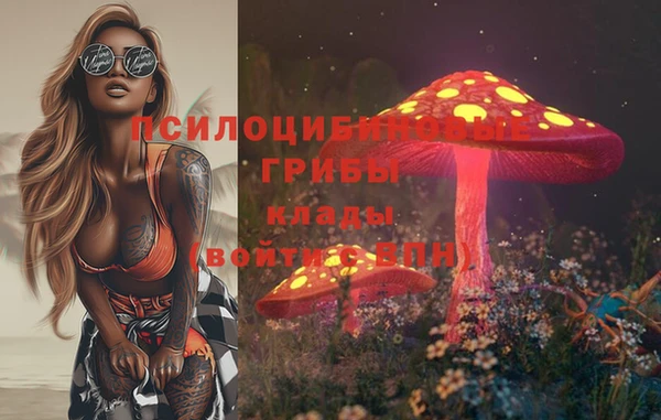 spice Алзамай