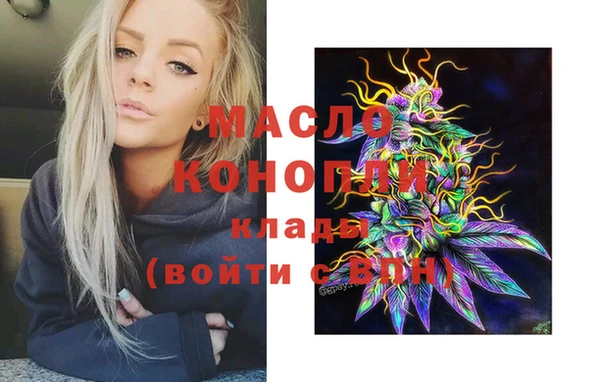 СК Алексин