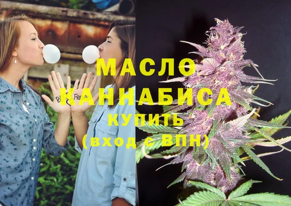 СК Алексин