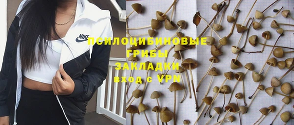 СК Алексин