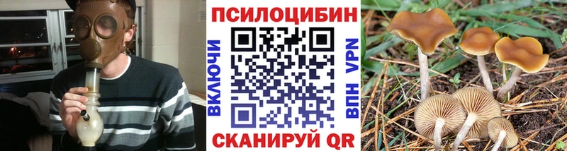Псилоцибиновые грибы GOLDEN TEACHER  Полярные Зори 